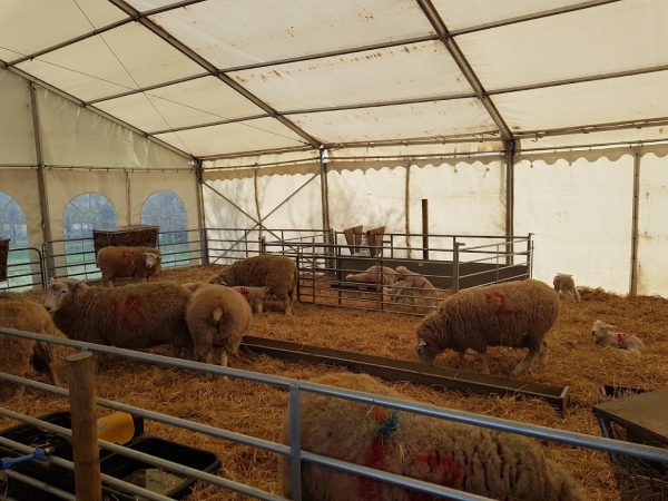 Odds Farm Park