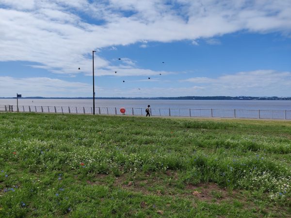 Otterspool Park