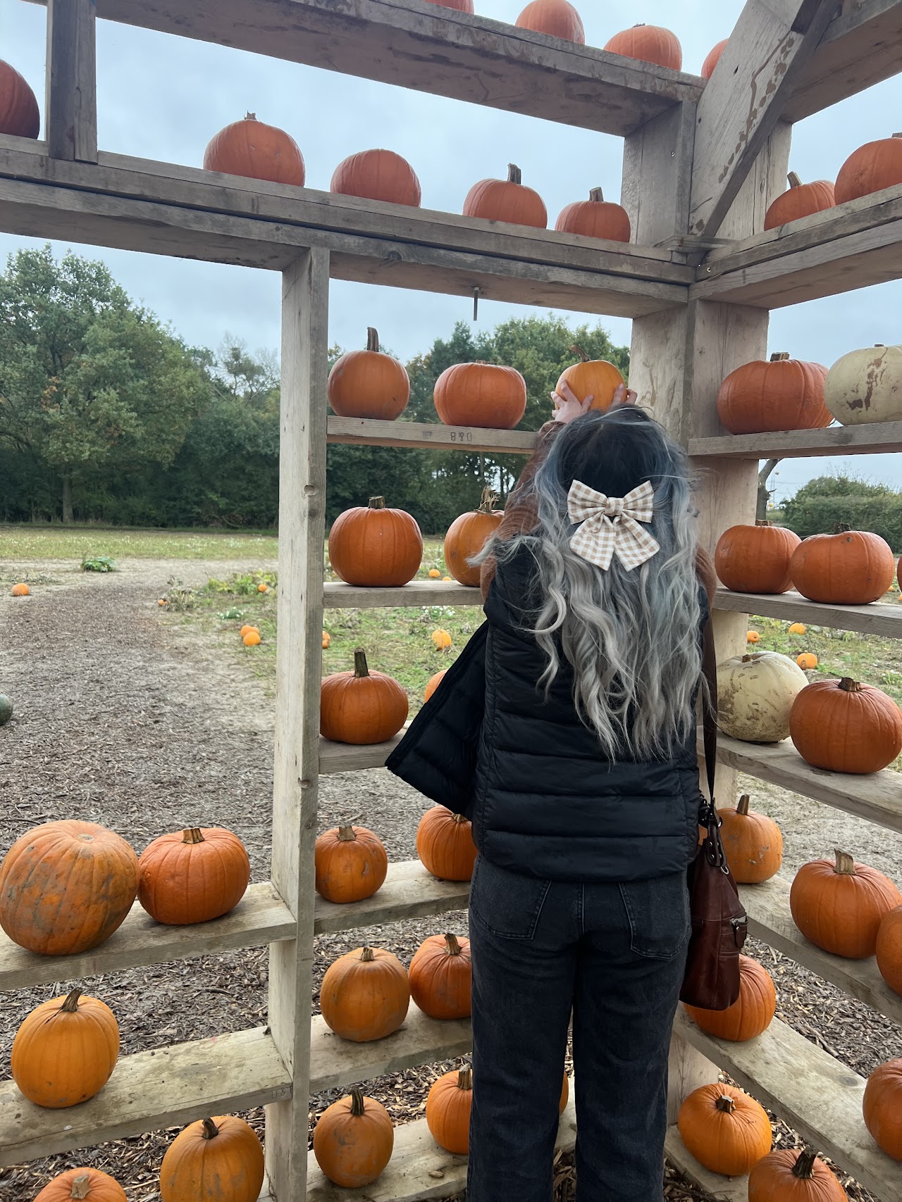 Otto's Pumpkin Patch