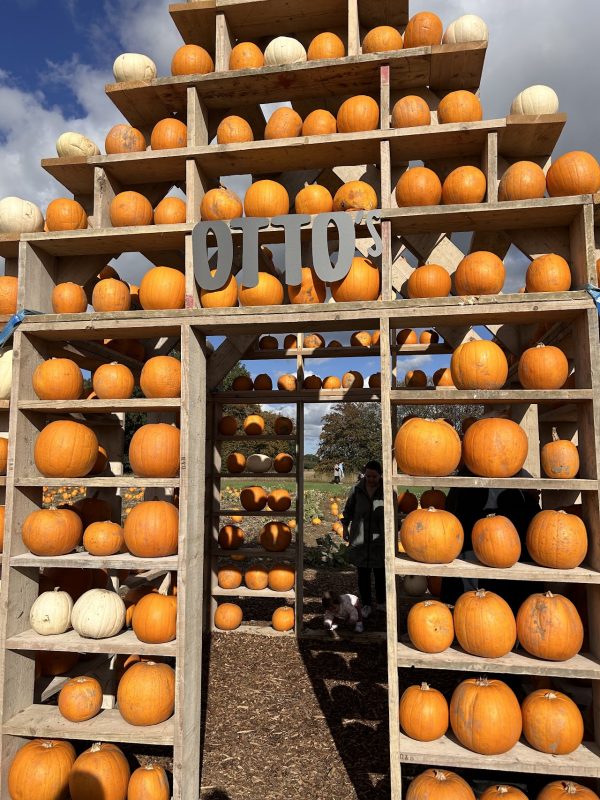 Otto's Pumpkin Patch
