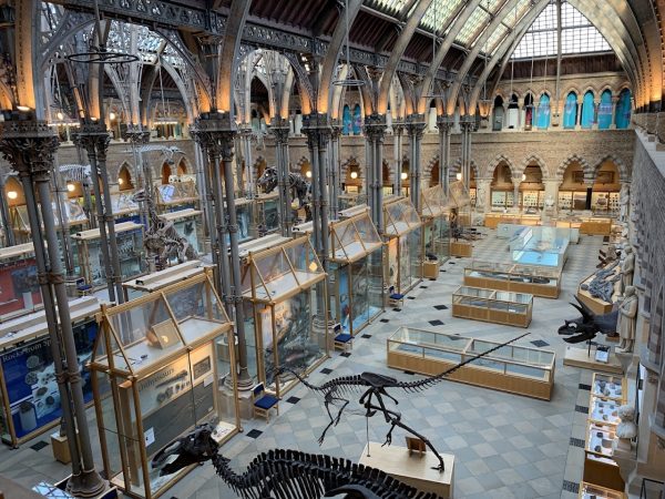 Oxford University Museum of Natural History
