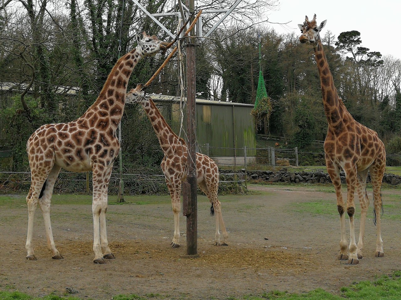 Paignton Zoo
