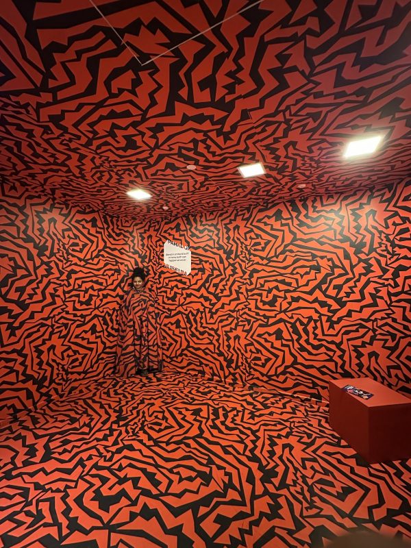 Paradox Museum