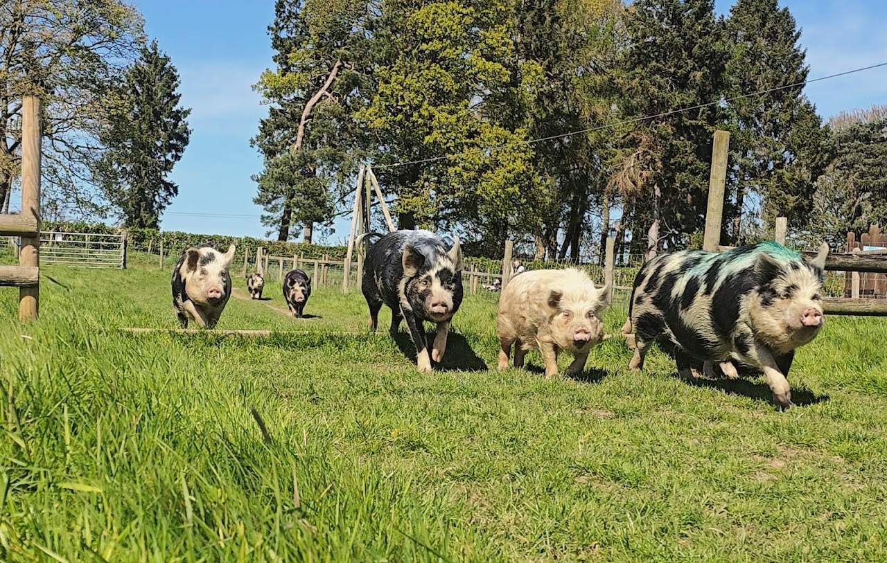 Park Hall Countryside Experience