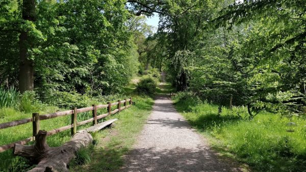 Parndon Wood Nature Reserve