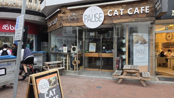 Pause Cat Cafe