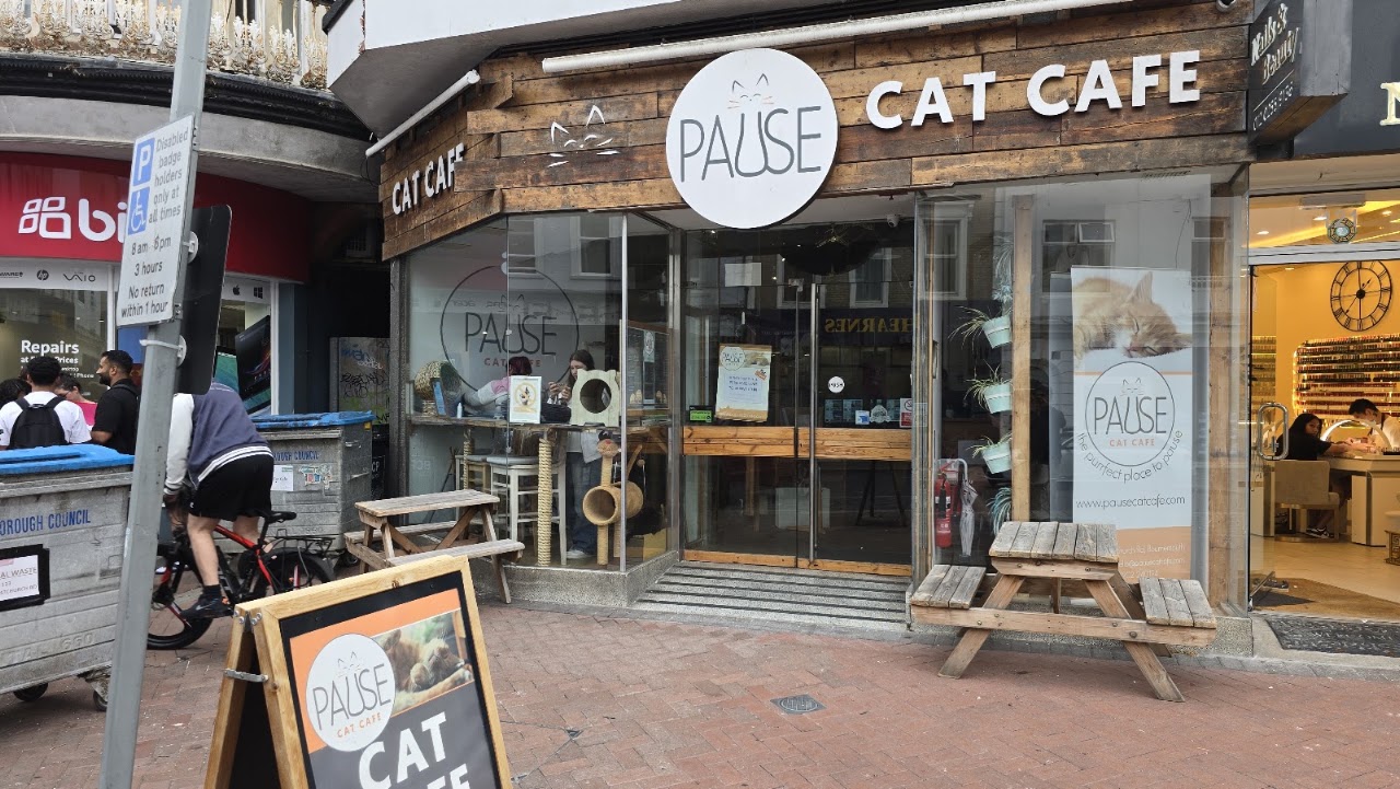 Pause Cat Cafe