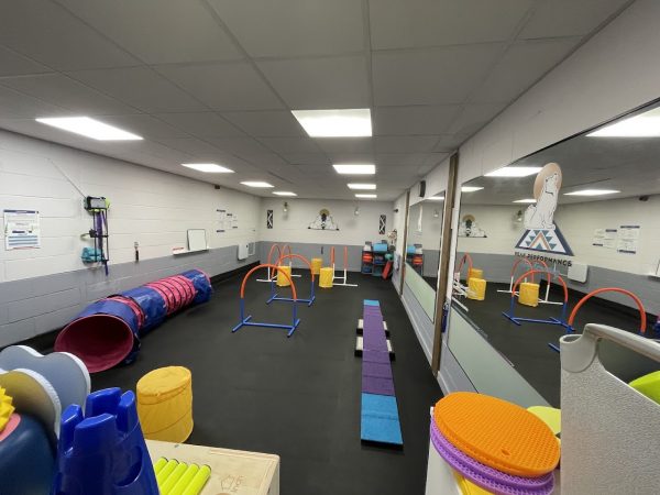 Peak Performance Dog Gym, Play and Training