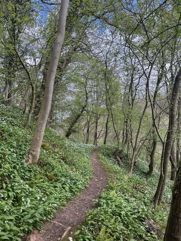 Pease Dean Wildlife Reserve