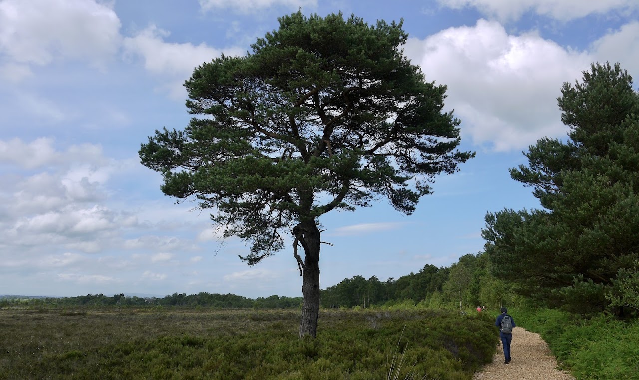 Peatlands Park
