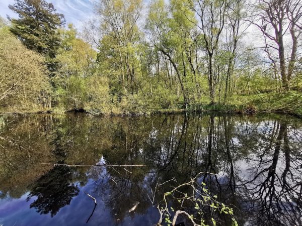 Peatlands Park
