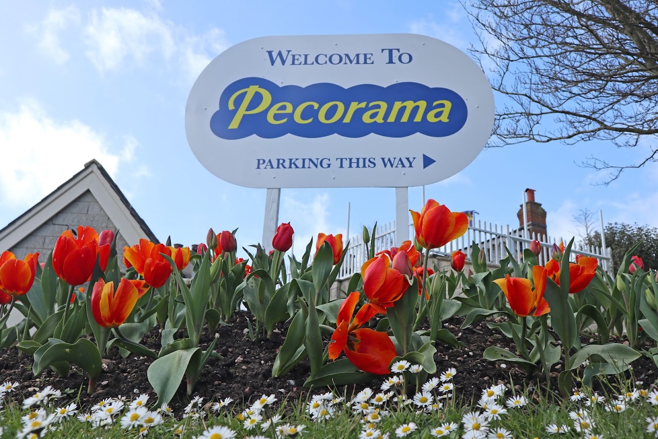 Pecorama