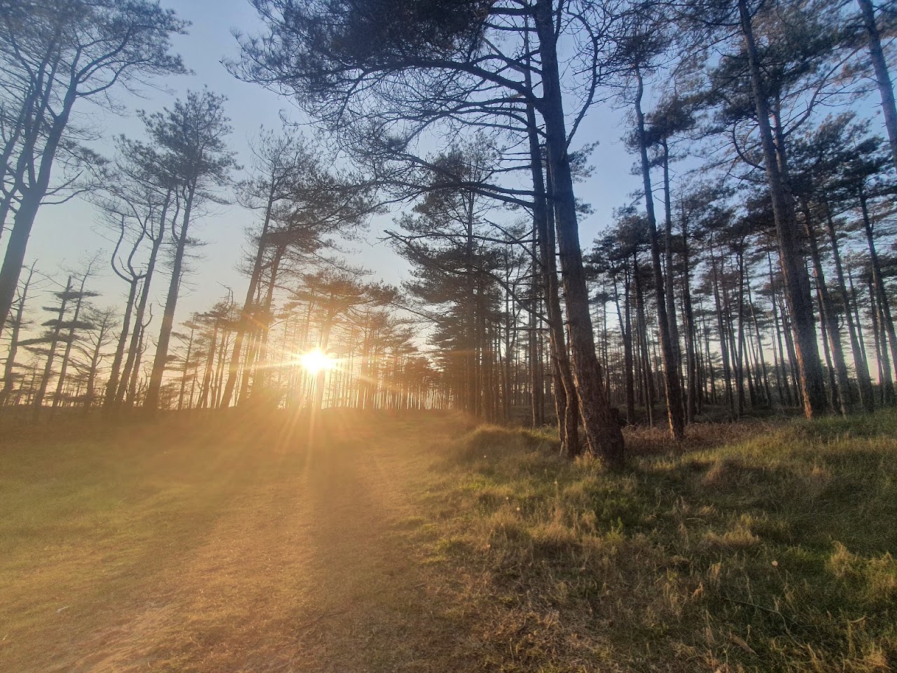 Pembrey Country Park