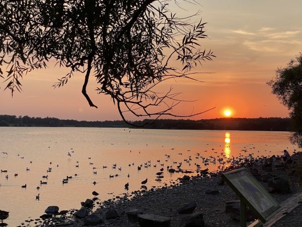 Pennington Flash Nature Reserve