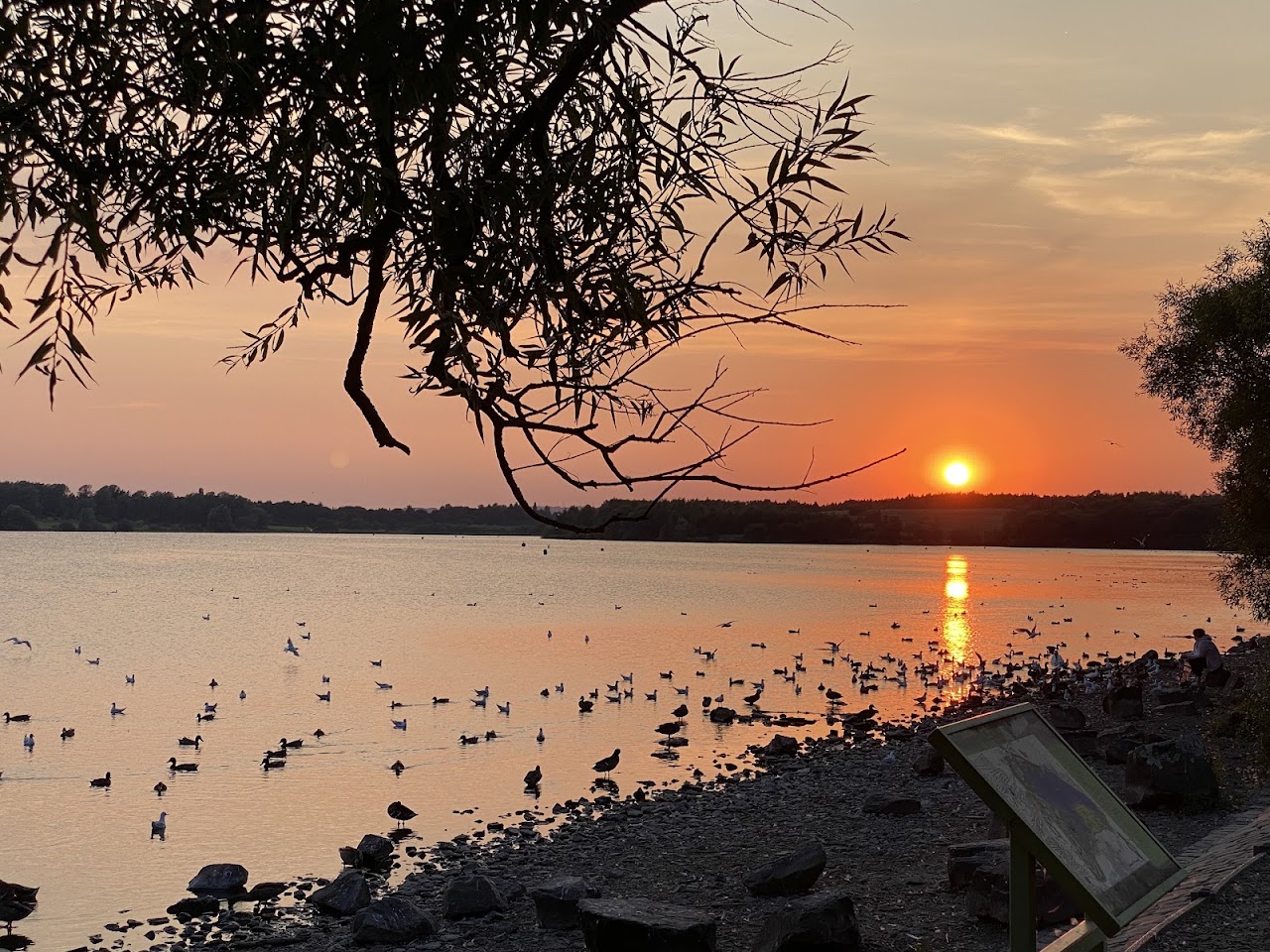 Pennington Flash Nature Reserve