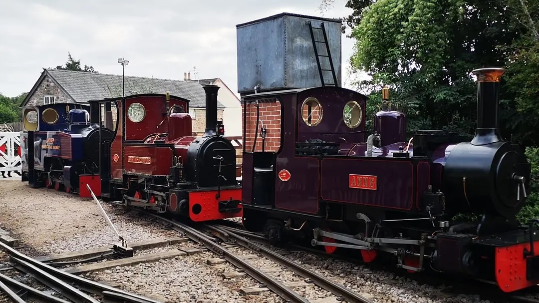 Perrygrove Railway and Treetop Adventure
