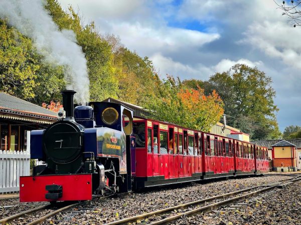 Perrygrove Railway and Treetop Adventure