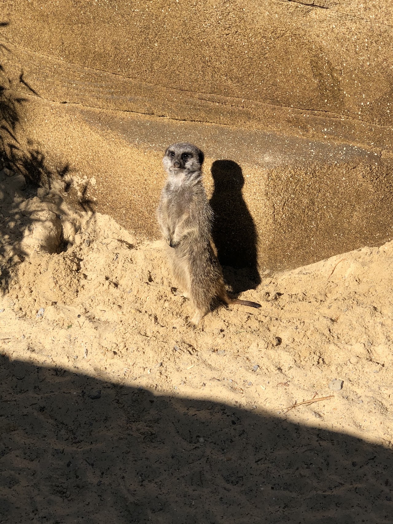 Pettitts Adventure Park