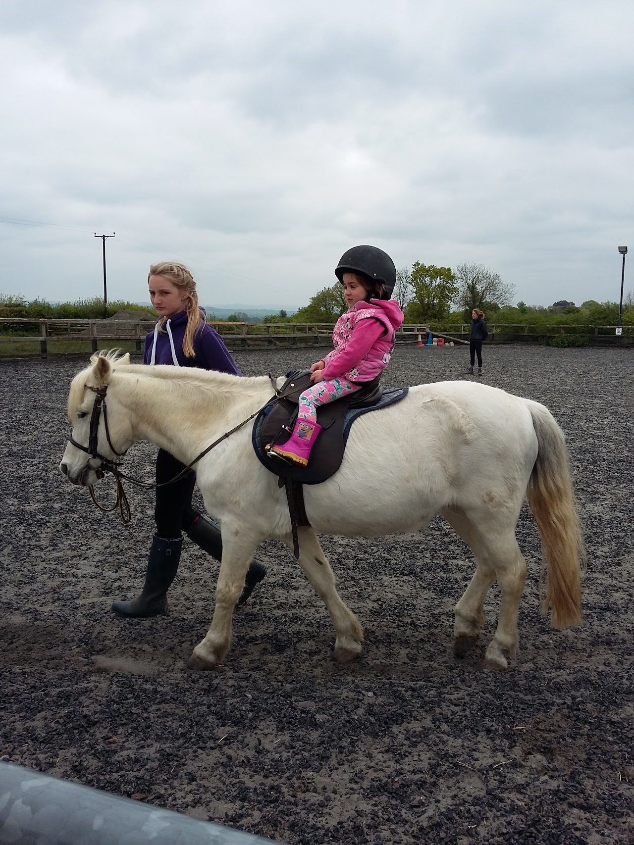Pevlings Farm Riding and Livery Stables