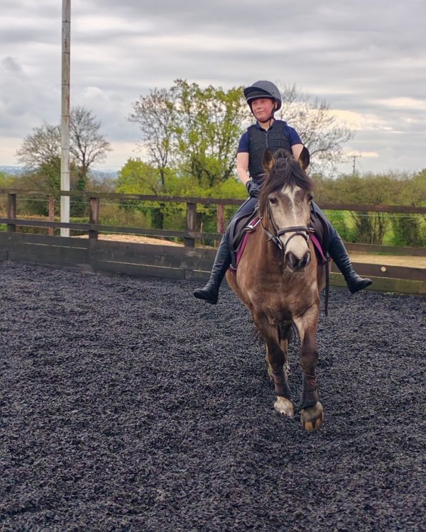 Pevlings Farm Riding and Livery Stables