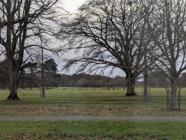 Phoenix Park Wolverhampton