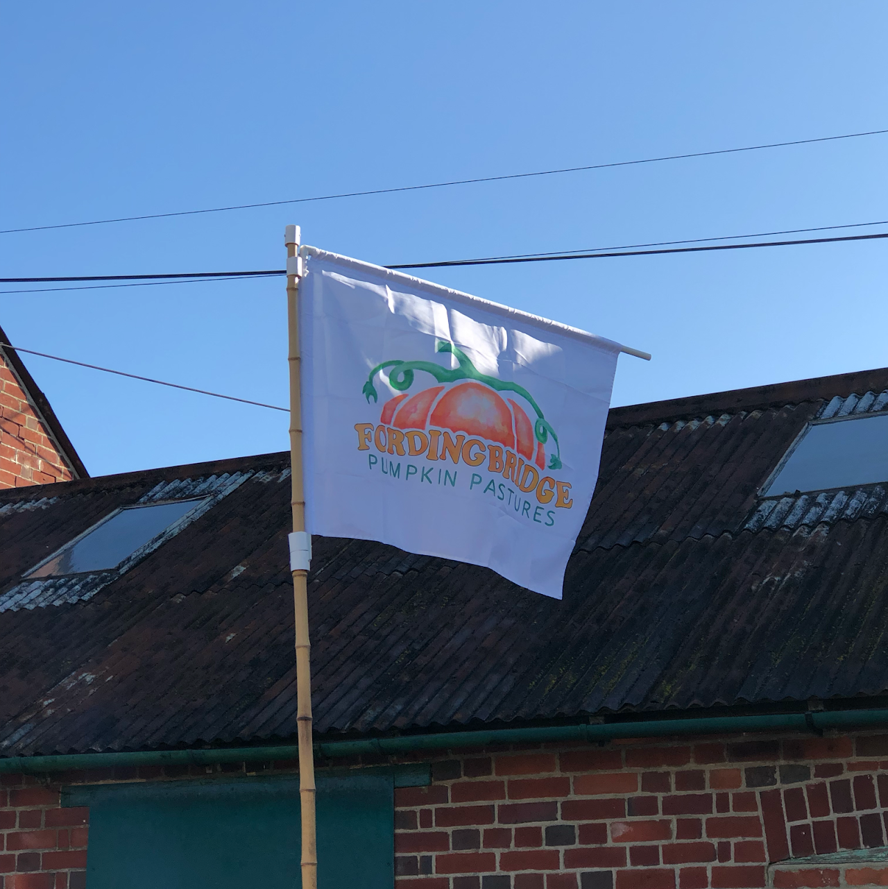 Picking Patch Fordingbridge