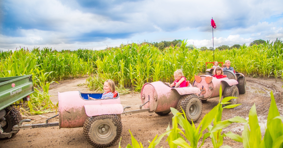 Piglets Adventure Farm Park