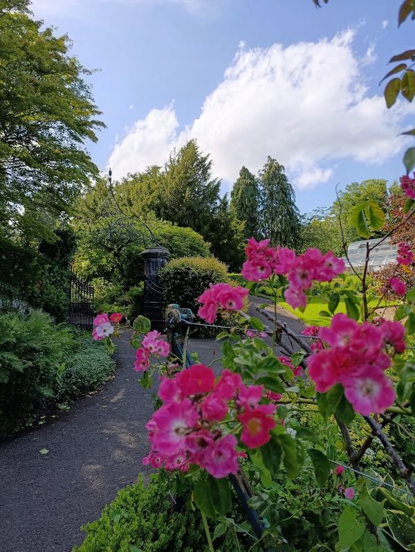 Pittencrieff House Museum