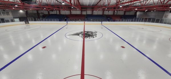 Planet Ice Basingstoke