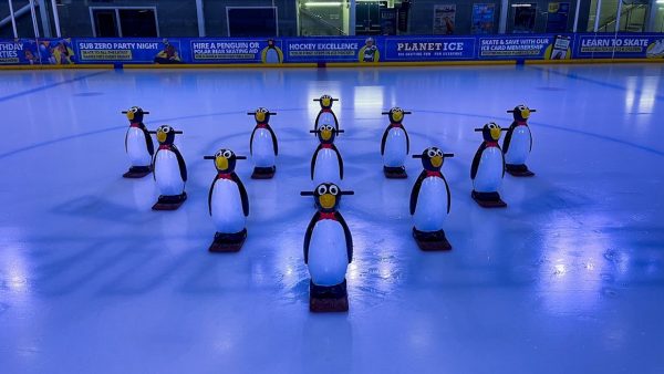 Planet Ice Bristol
