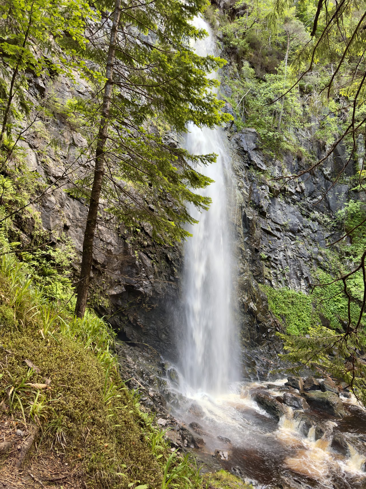 Plodda Falls
