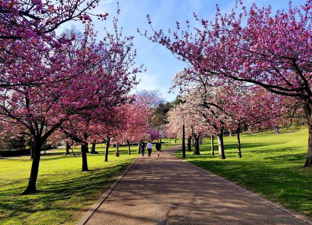 Pontypool Park