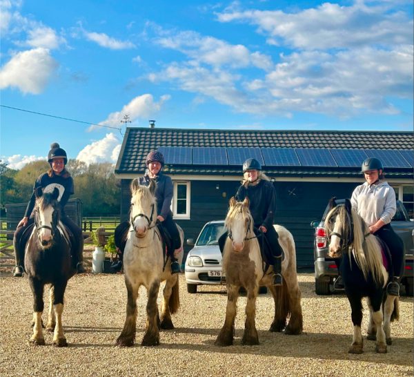 Pony Pursuits