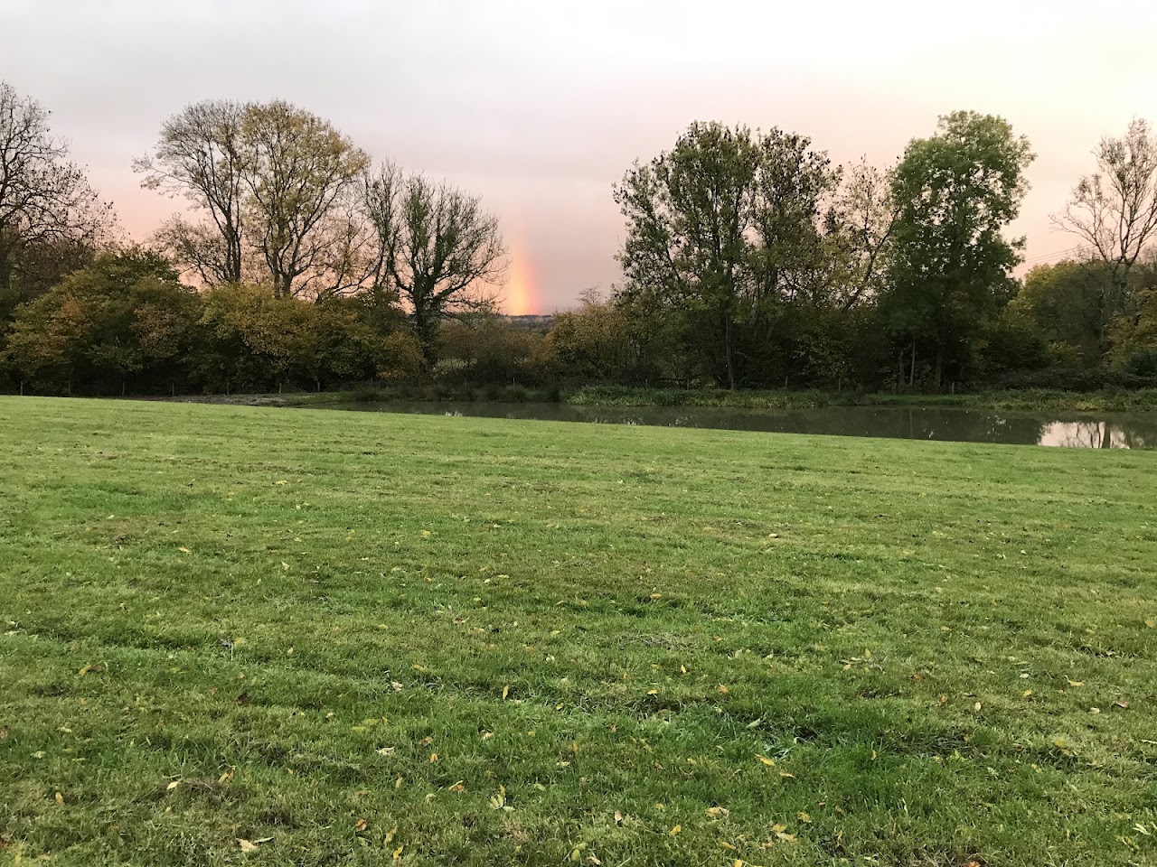 Pookles Farm