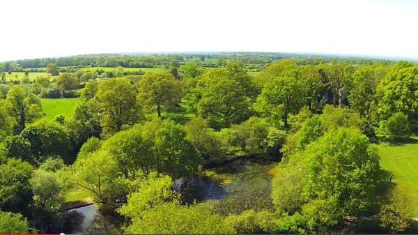 Pope's Meadow