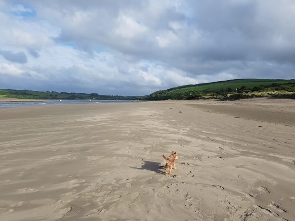 Poppit Sands