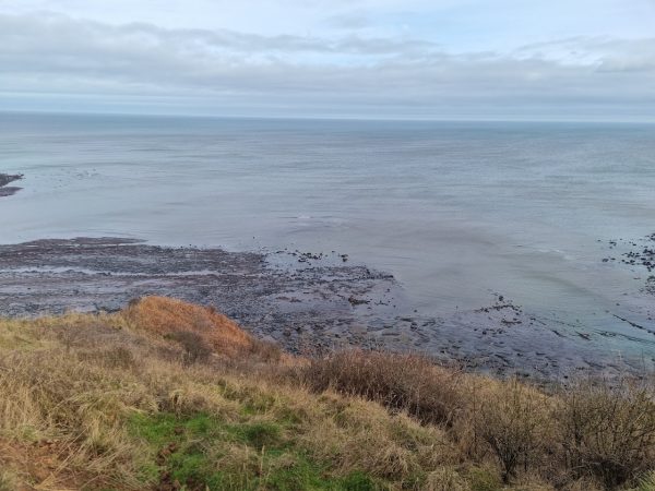 Port Mulgrave Beach