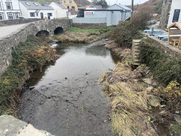 Porth y Swnt