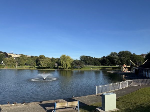 Portishead Lake Grounds
