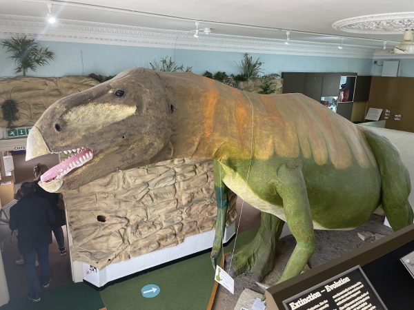 Portsmouth Natural History Museum
