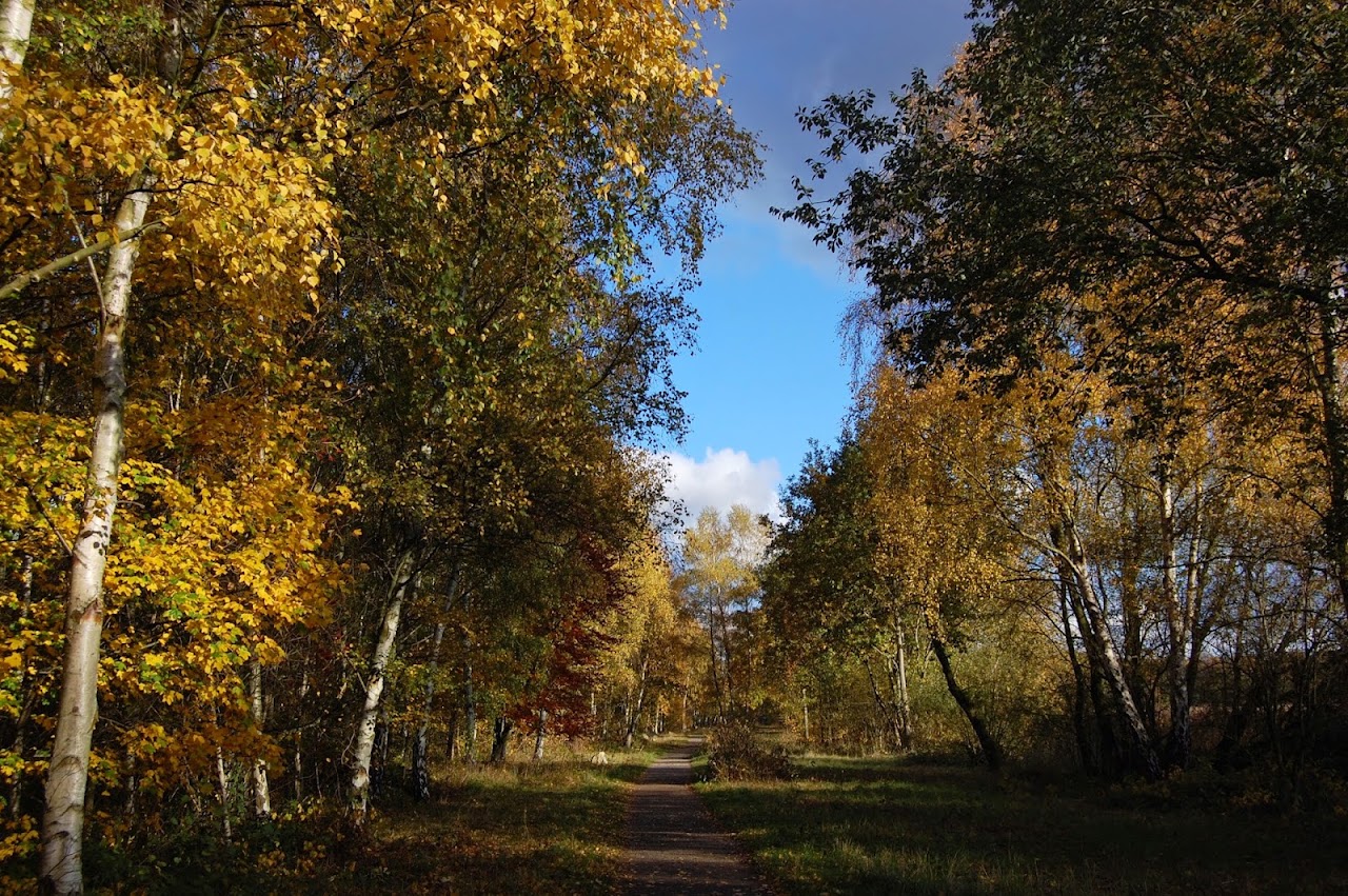 Potteric Carr Nature Reserve