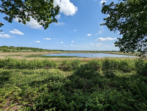 Potteric Carr Nature Reserve
