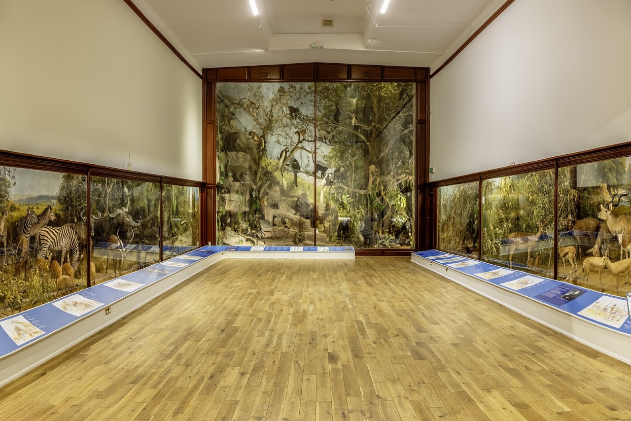 Powell-Cotton Museum