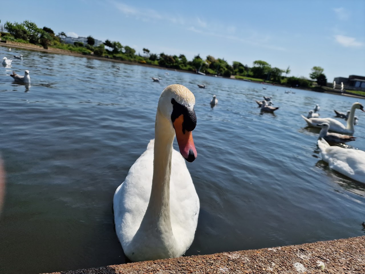 Princes Park