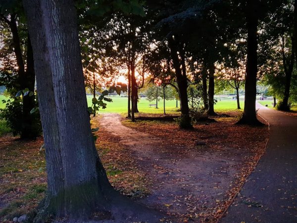 Priory Park Reigate