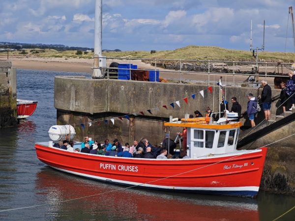 Puffin Cruises