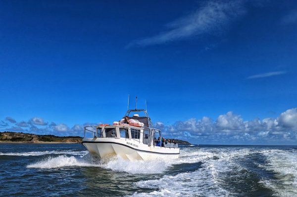Puffin Island Pleasure Cruise