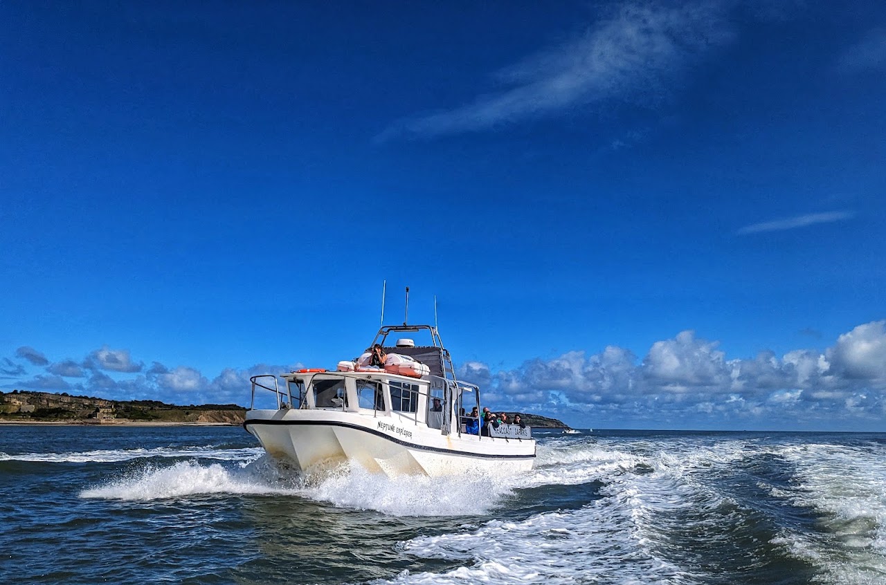 Puffin Island Pleasure Cruise