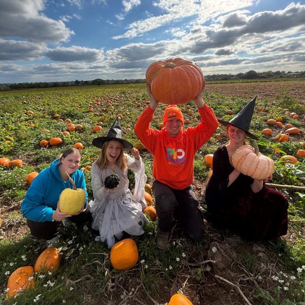 Pumpkin Picking at Lower Drayton Farm