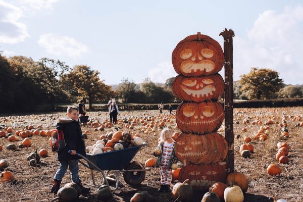 Pumpkin Picking at Village Pumpkins
